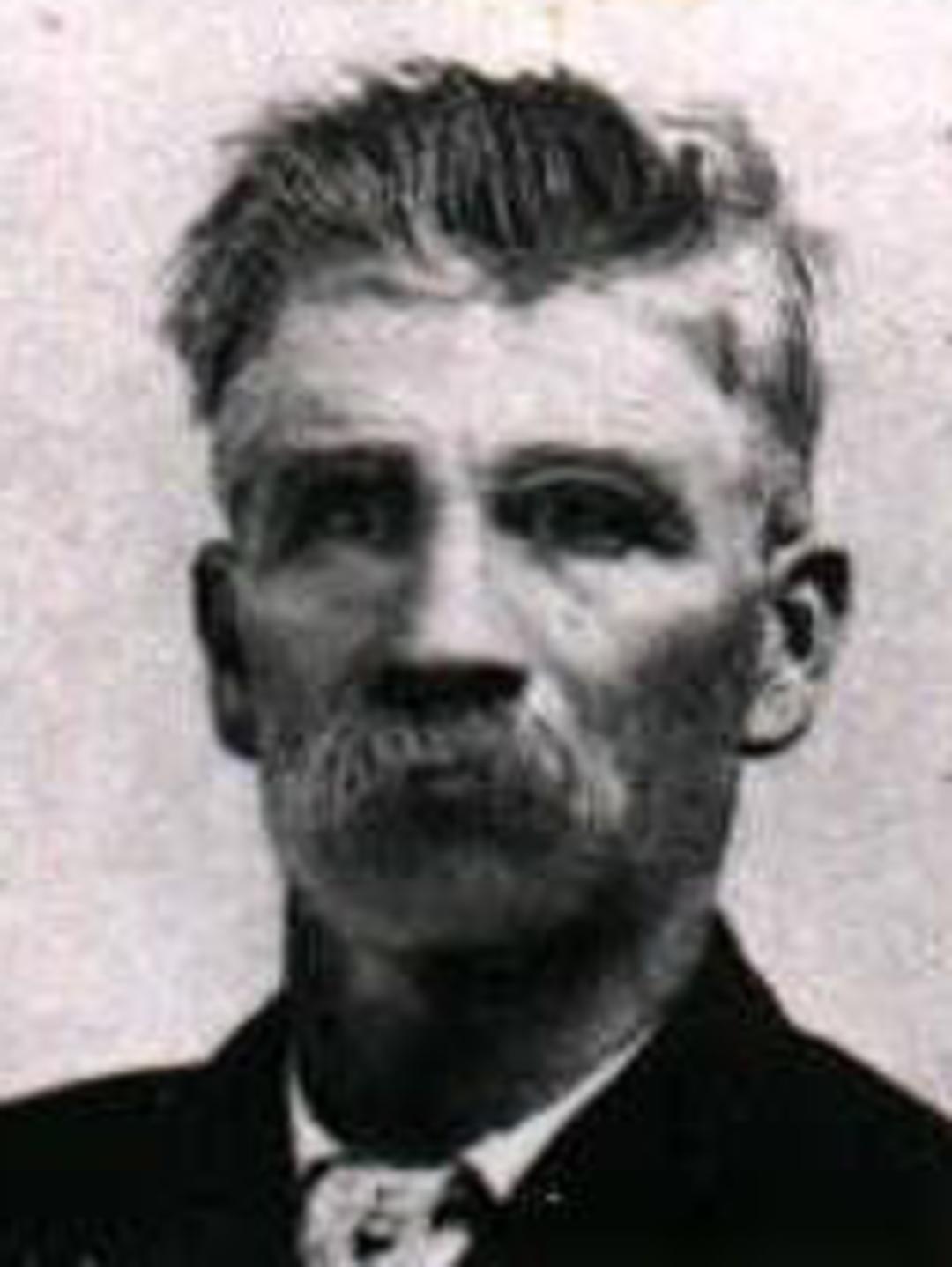 Andrew Vinson Gibbons (1849 - 1932) Profile